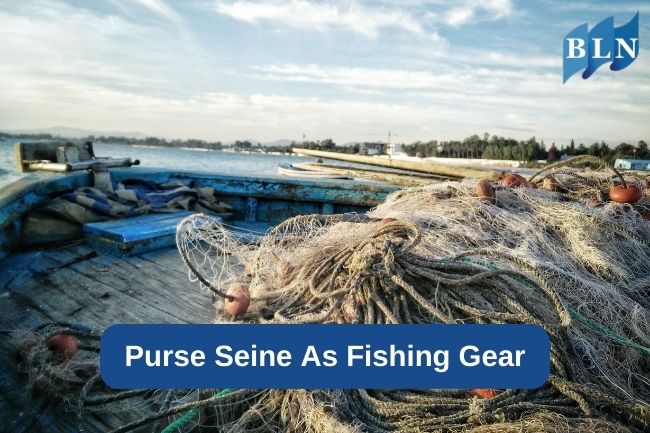 Purse Seine As Fishing Gear